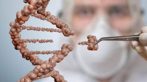 دستکاری ژنها