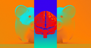 زنده نگه داشتن مغز خوک پس از مرگ